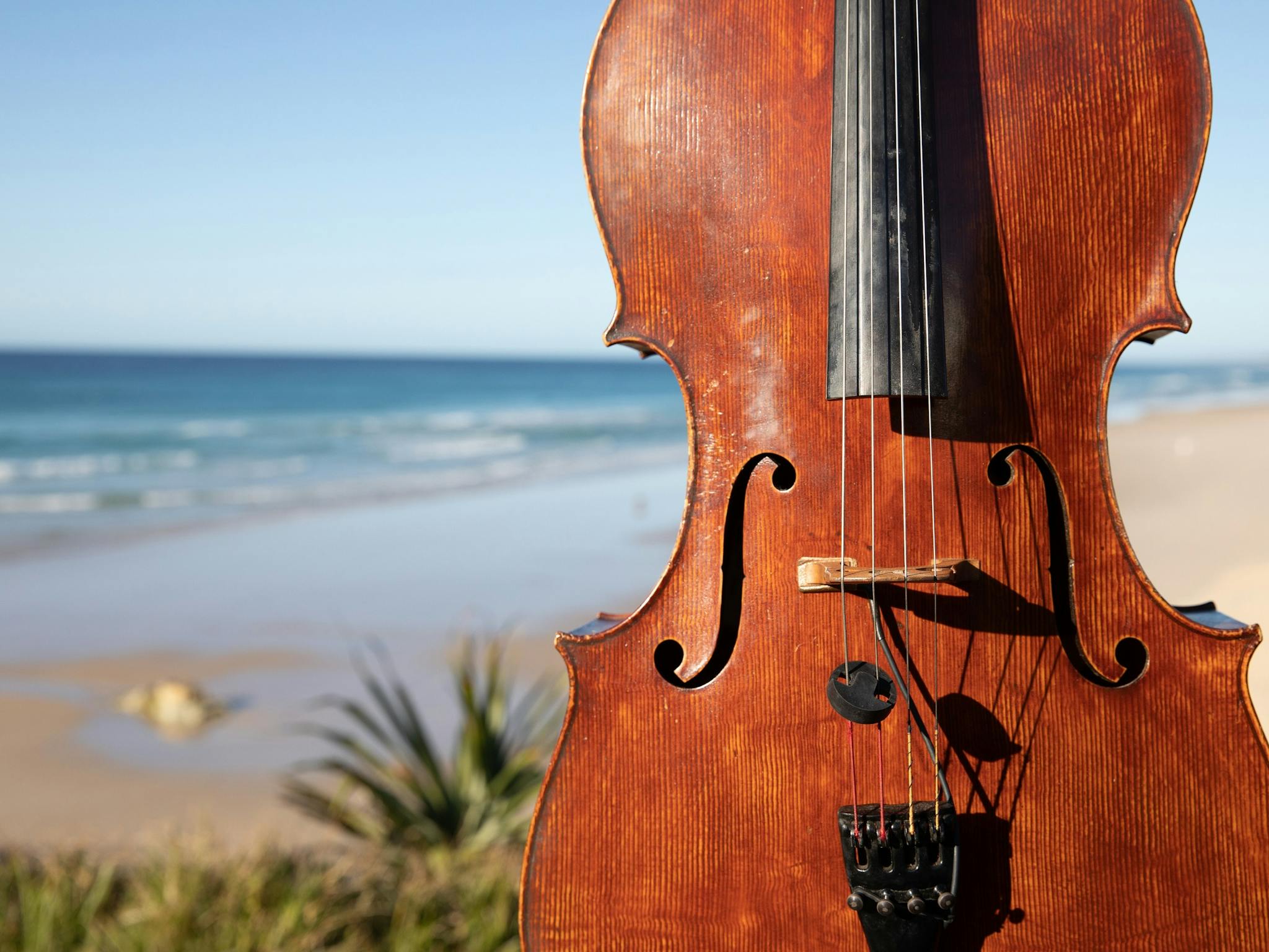 Close-up of a violin on the Lifesavers' Headland at Pt Lookout, North Stradbroke IslandA violin b Close-up of a violin on the Lifesavers' Headland at Pt Lookout, North Stradbroke IslandA violin b