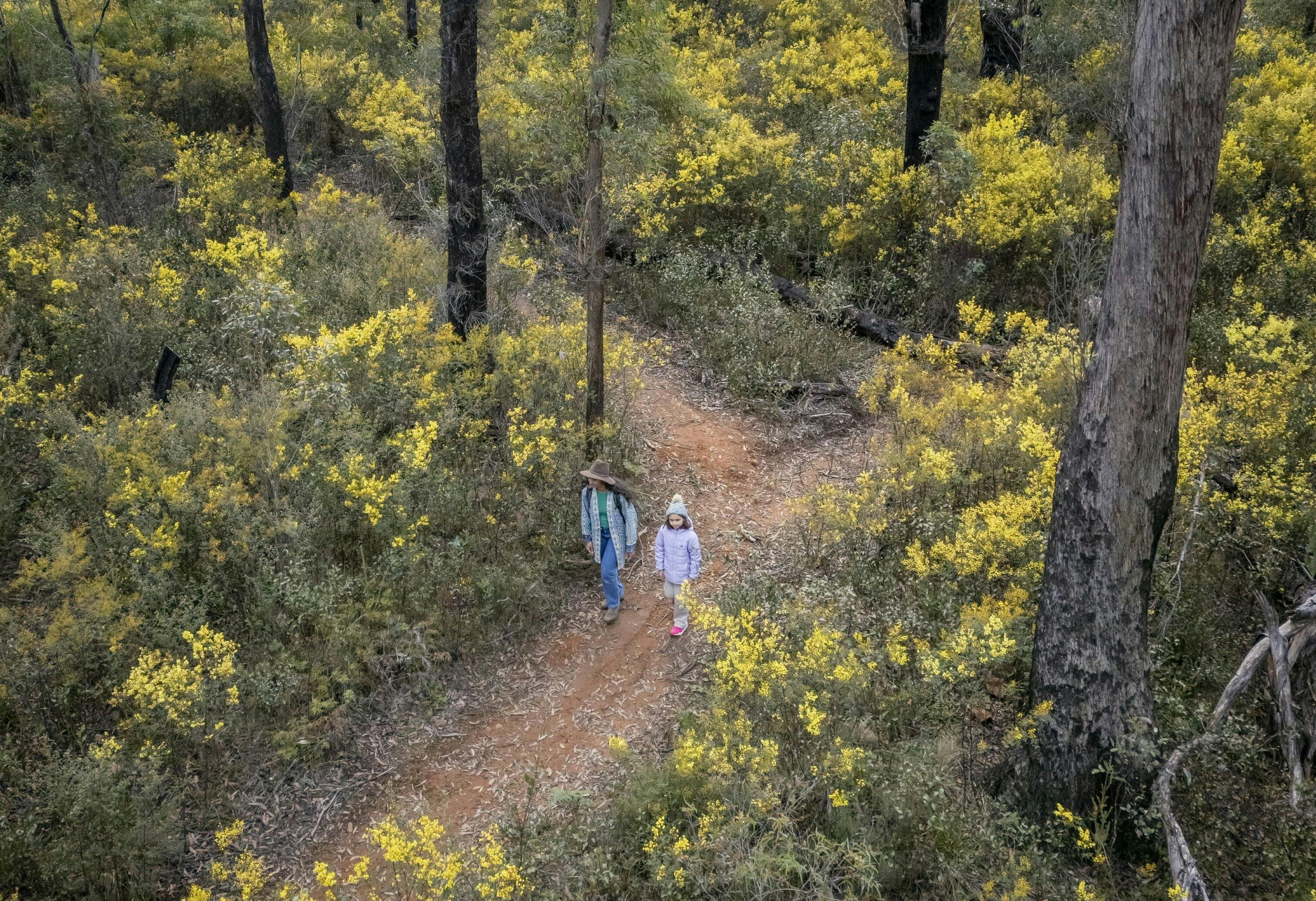 Gardens of Stone Conservation Area