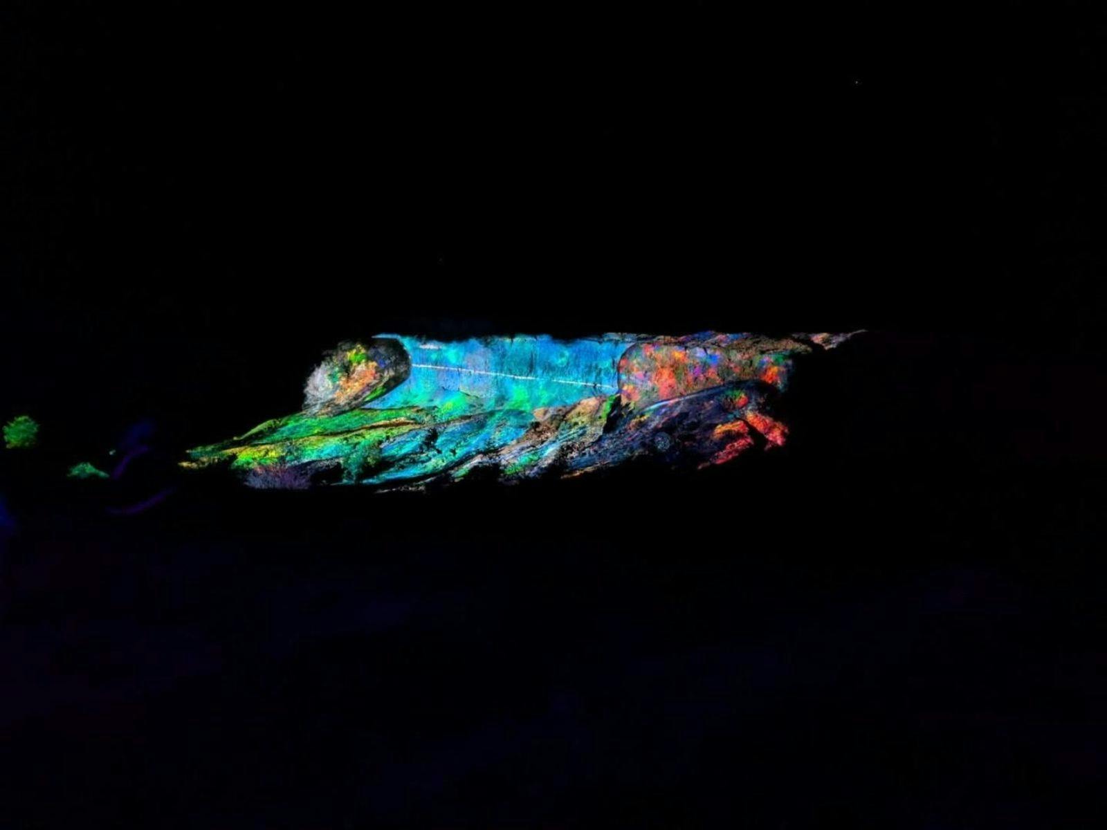 Opal Evolution