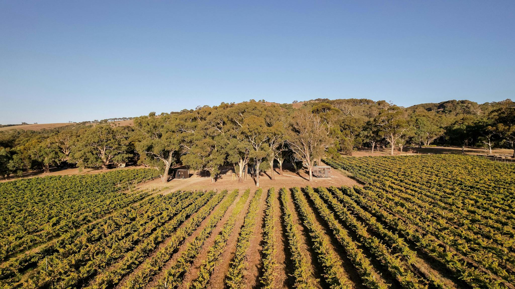 Aerial views of CABN Jude and Georgia, McLaren Vale