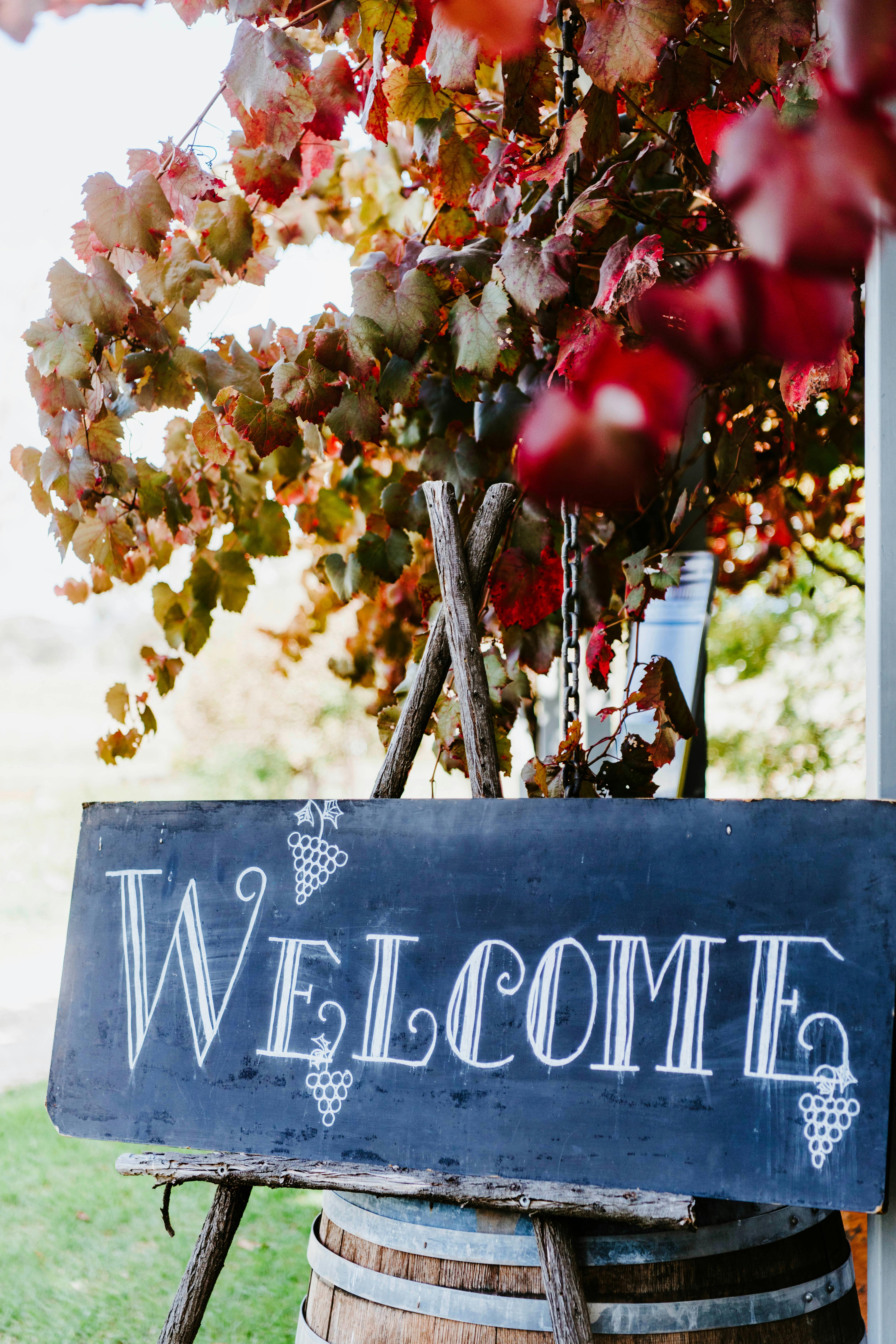 Elephant Mountain Wines