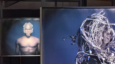 Feranda Pedroso exhibition