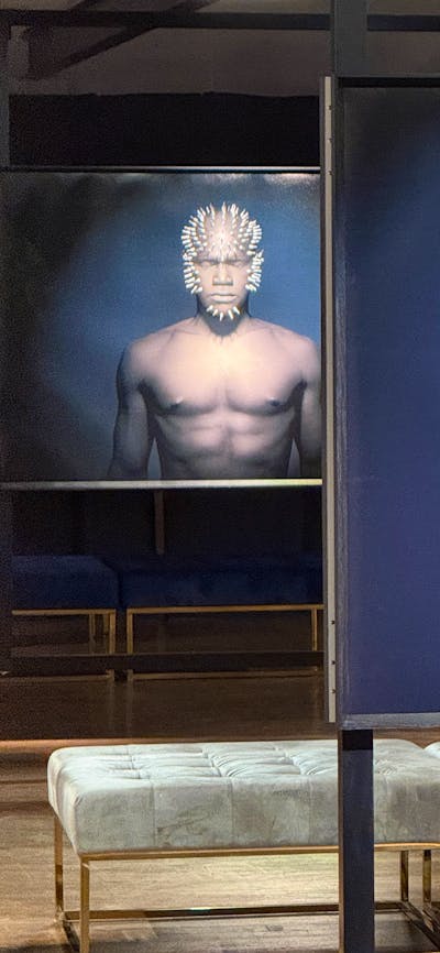 Feranda Pedroso exhibition