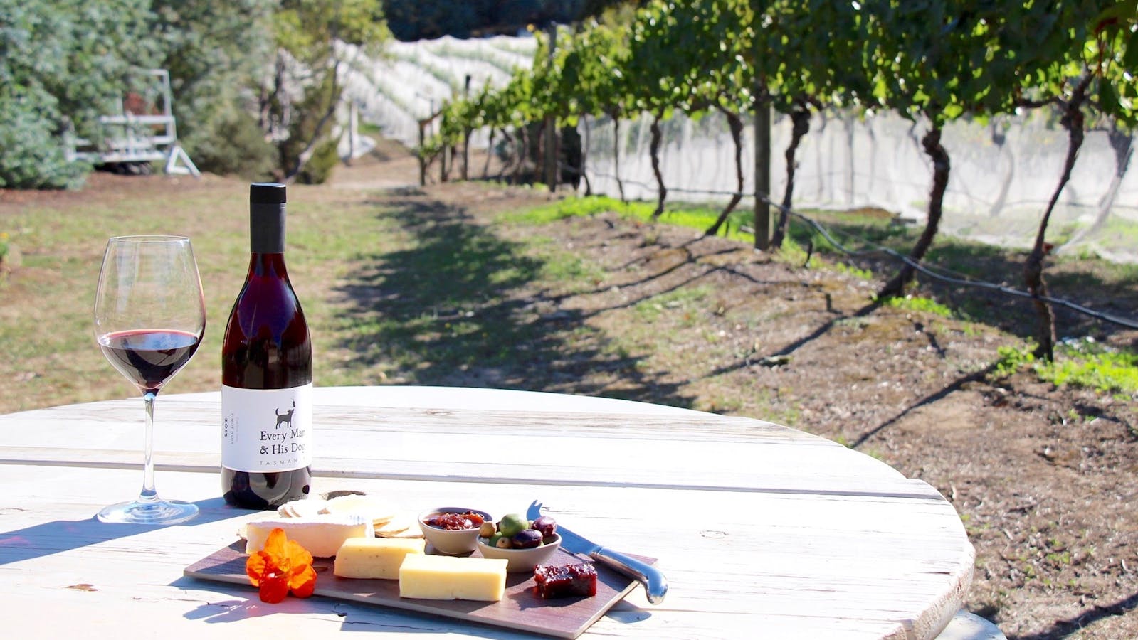 Wine and cheese platters are available from the Cellar Door at Every Man and His Dog Vineyard