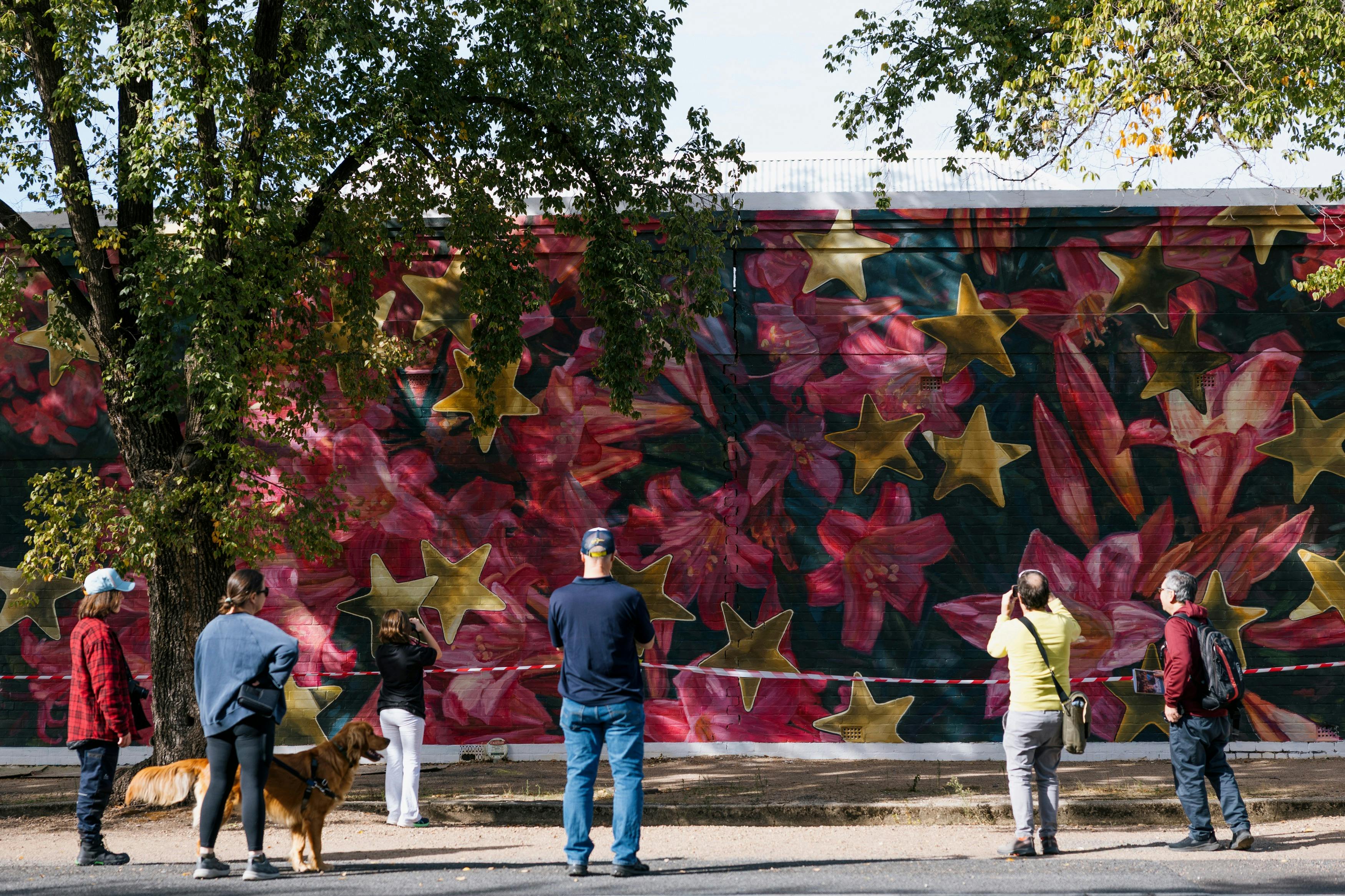 Group of people in various colours admiring the brightly coloured wall painted by Jasmine Crisp
