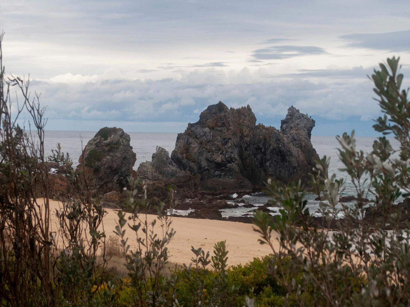 Wallaga Lake - Camel Rock