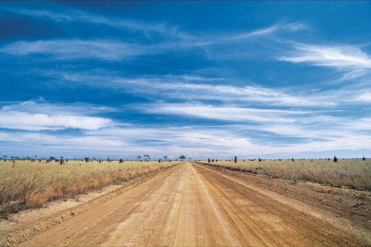 Dirt road heading through grassy plain dotted with termite mounds.