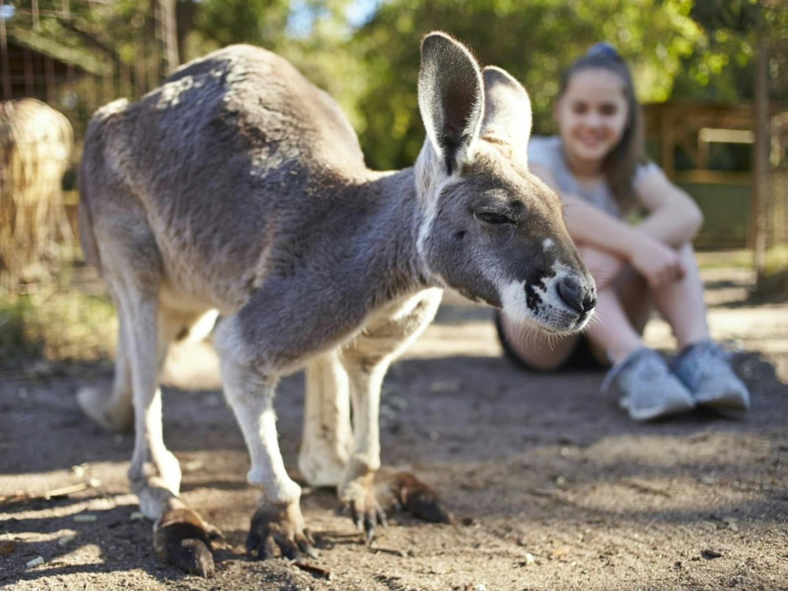 Access Adventure Club - Swan Valley