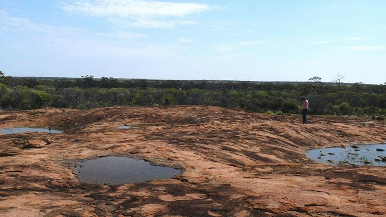 Camel Soak