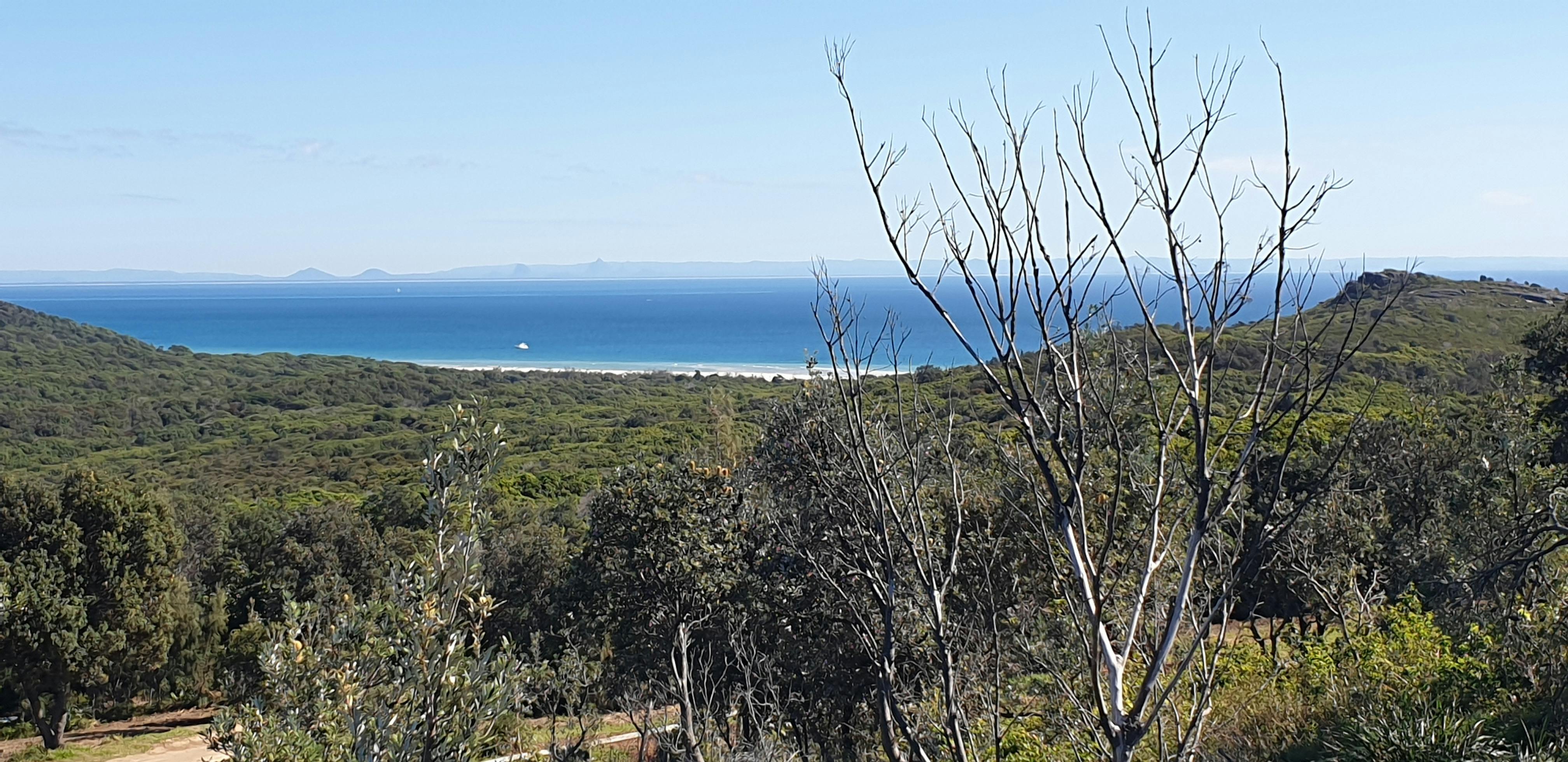 Cape Moreton