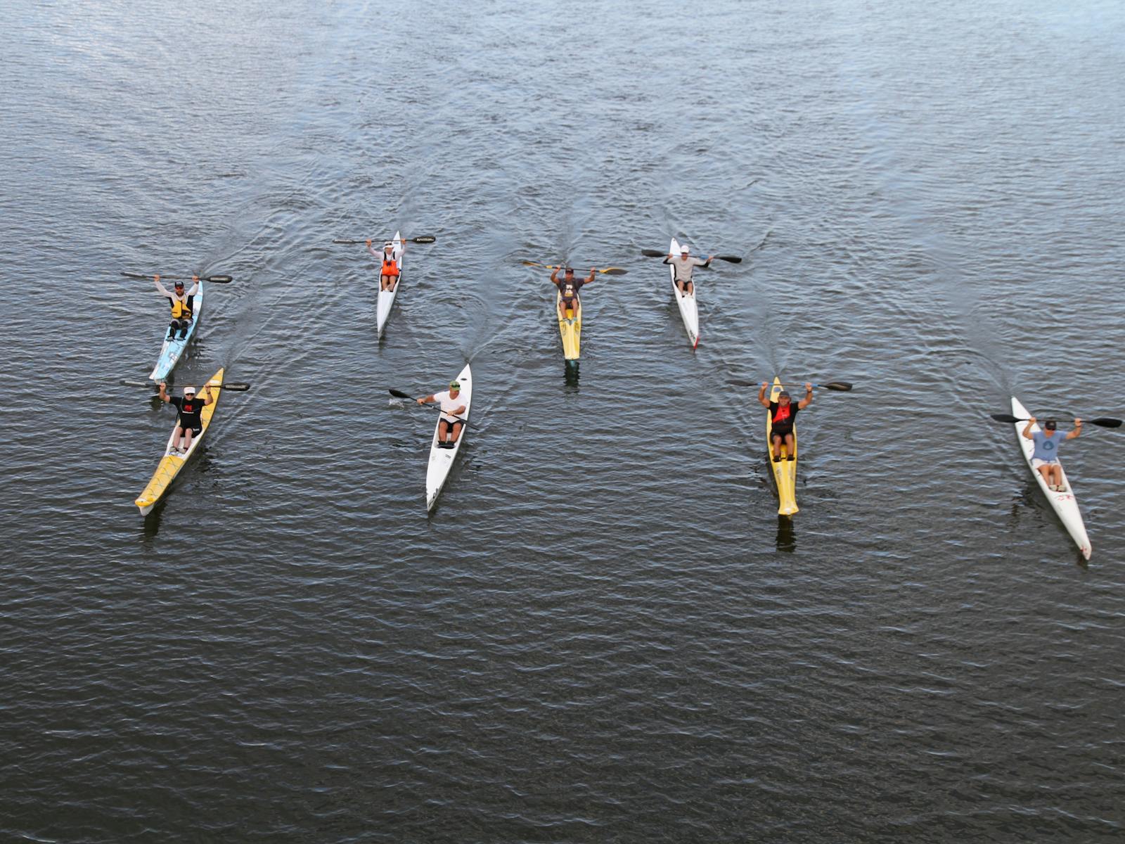 Image for The Clarence 100