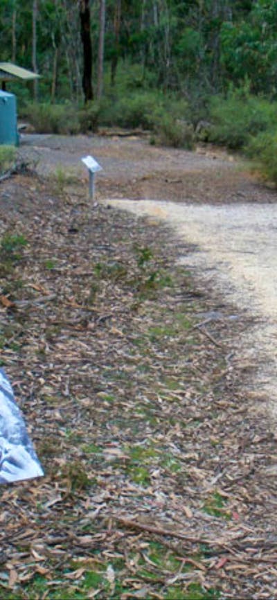 Molly O'Neill nature track