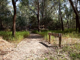Path, green native grasses, wooden sign with directions to loop track, trees in background