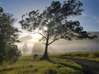Numinbah Valley Adventure  Camping