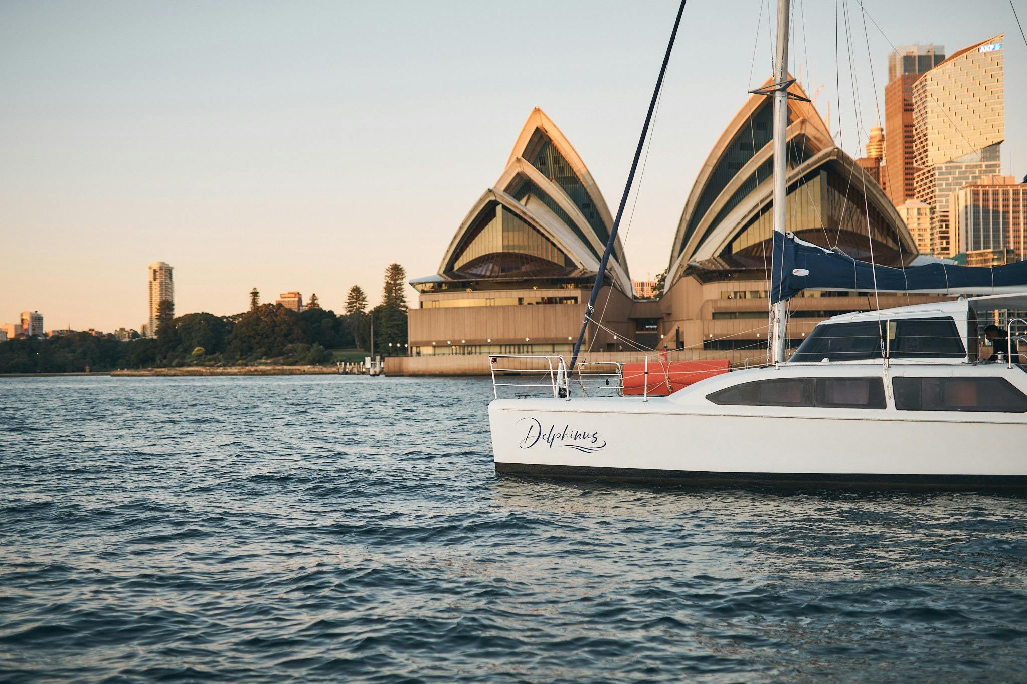 Delphinus catamaran with Sydney Opera House in the background