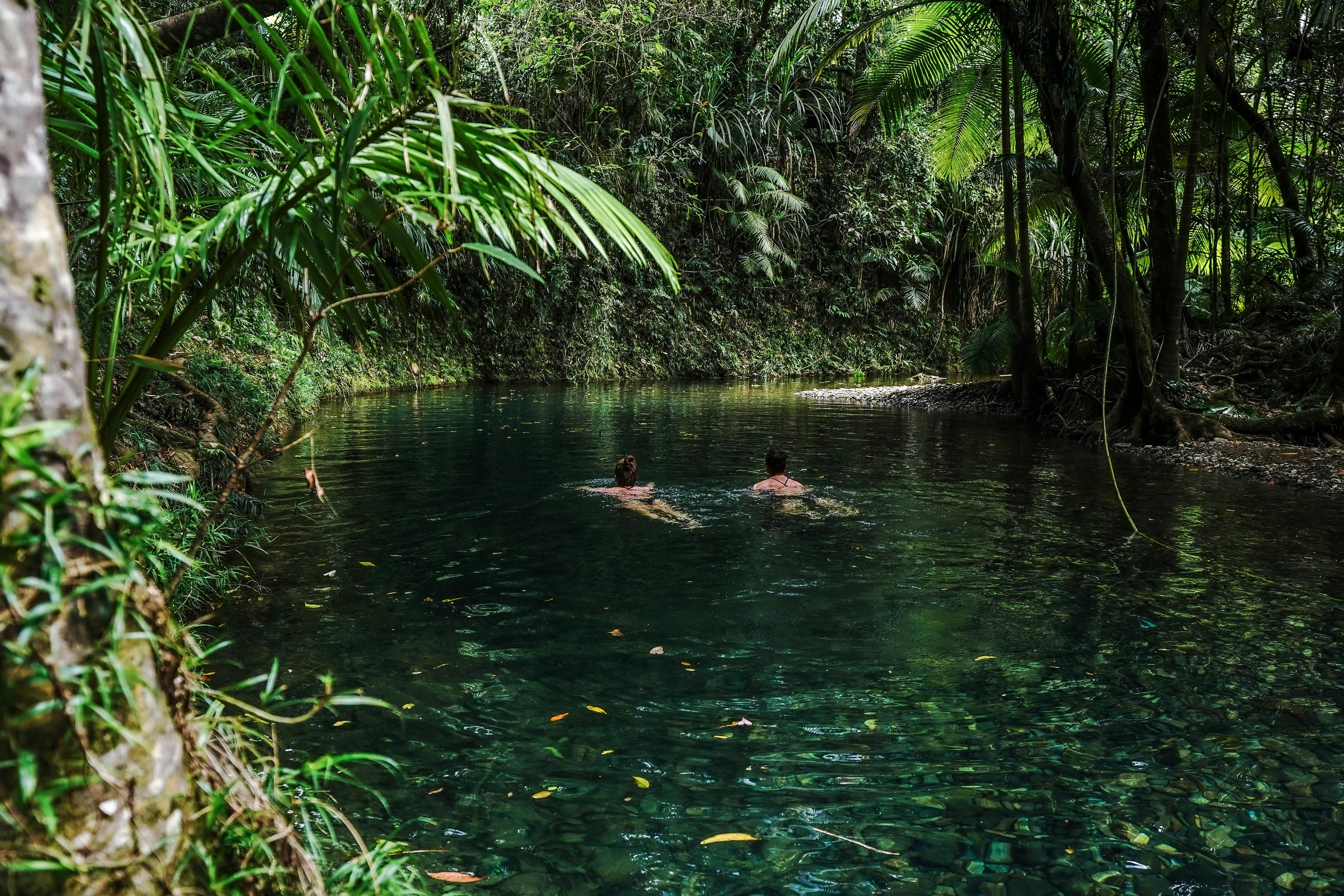 Swim in a rainforest creek