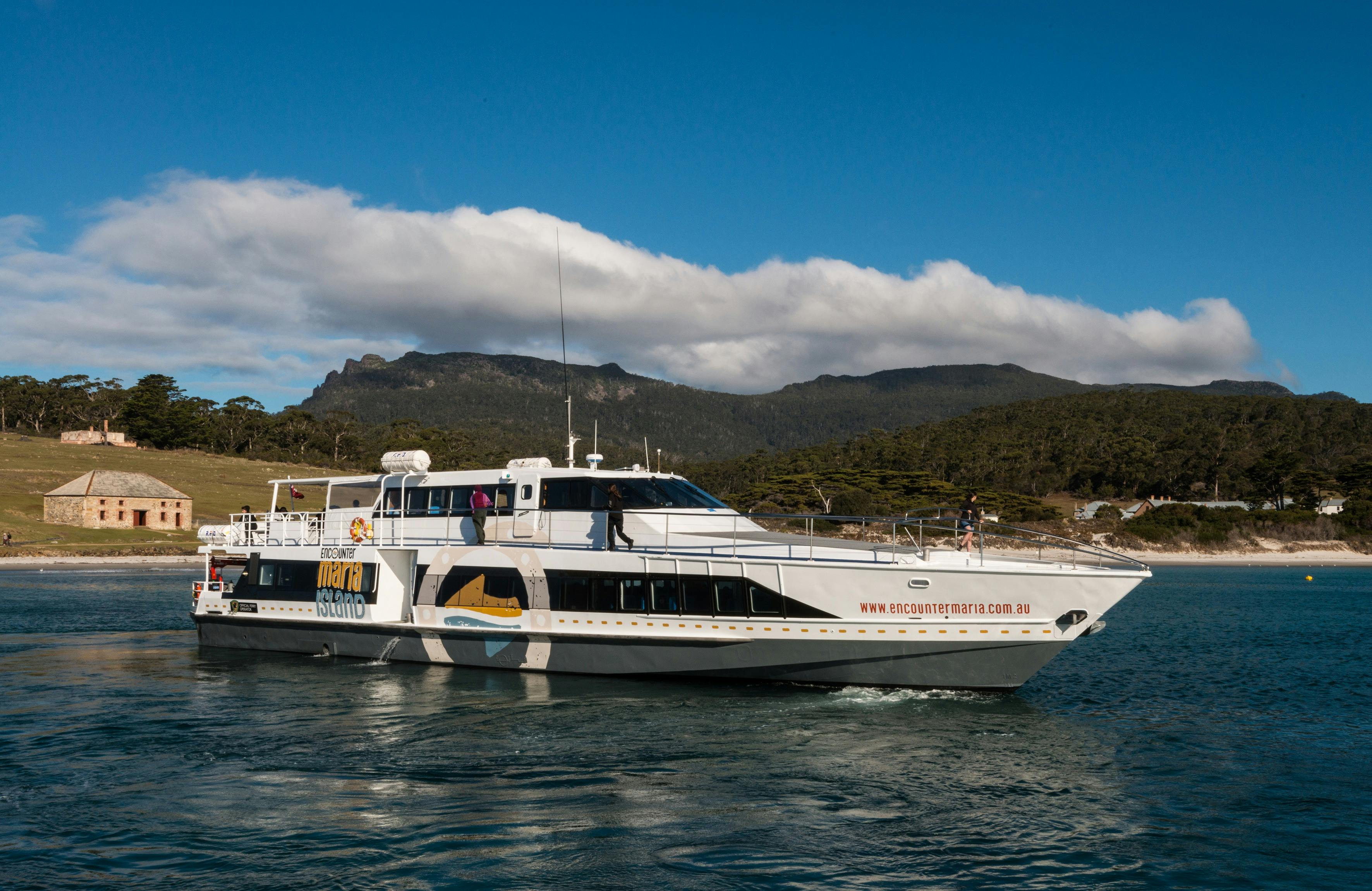 The Osprey V Maria Island National Park