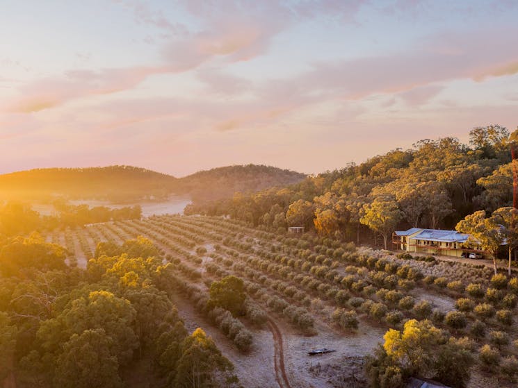 Mudgee Valley Views