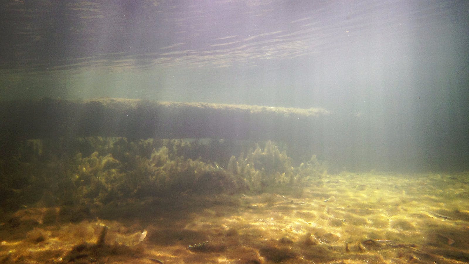 Underwater picture perfect