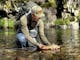 Fly Fishing Brown Trout