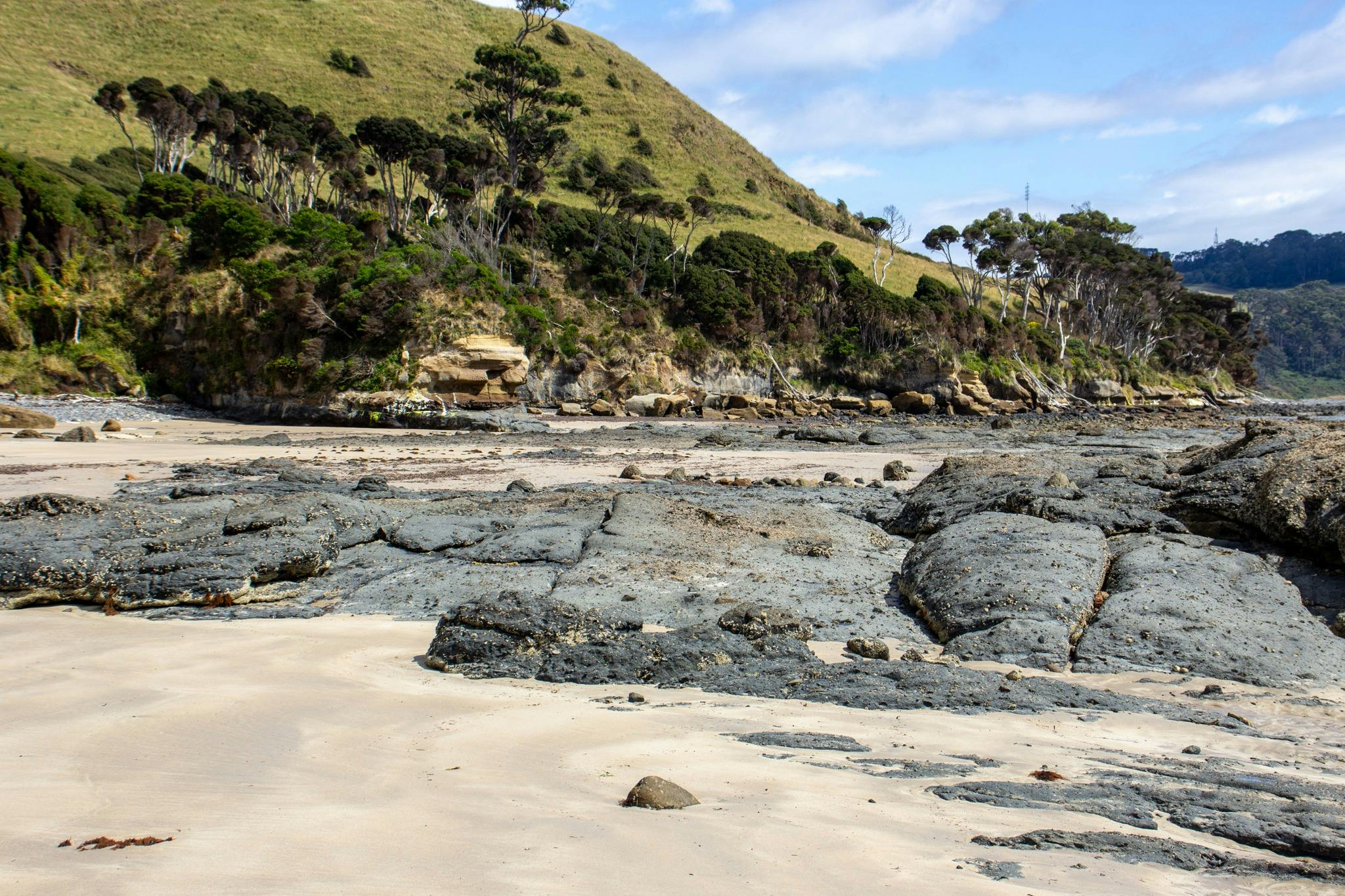 Fossil Bluff, Wynyard