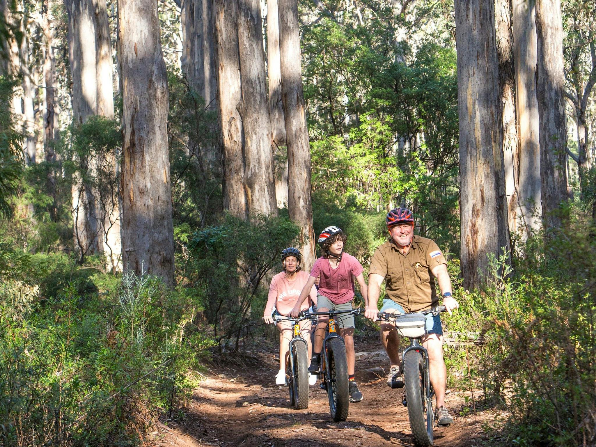 Boranup Karri Forest, Margaret River, Western Australia