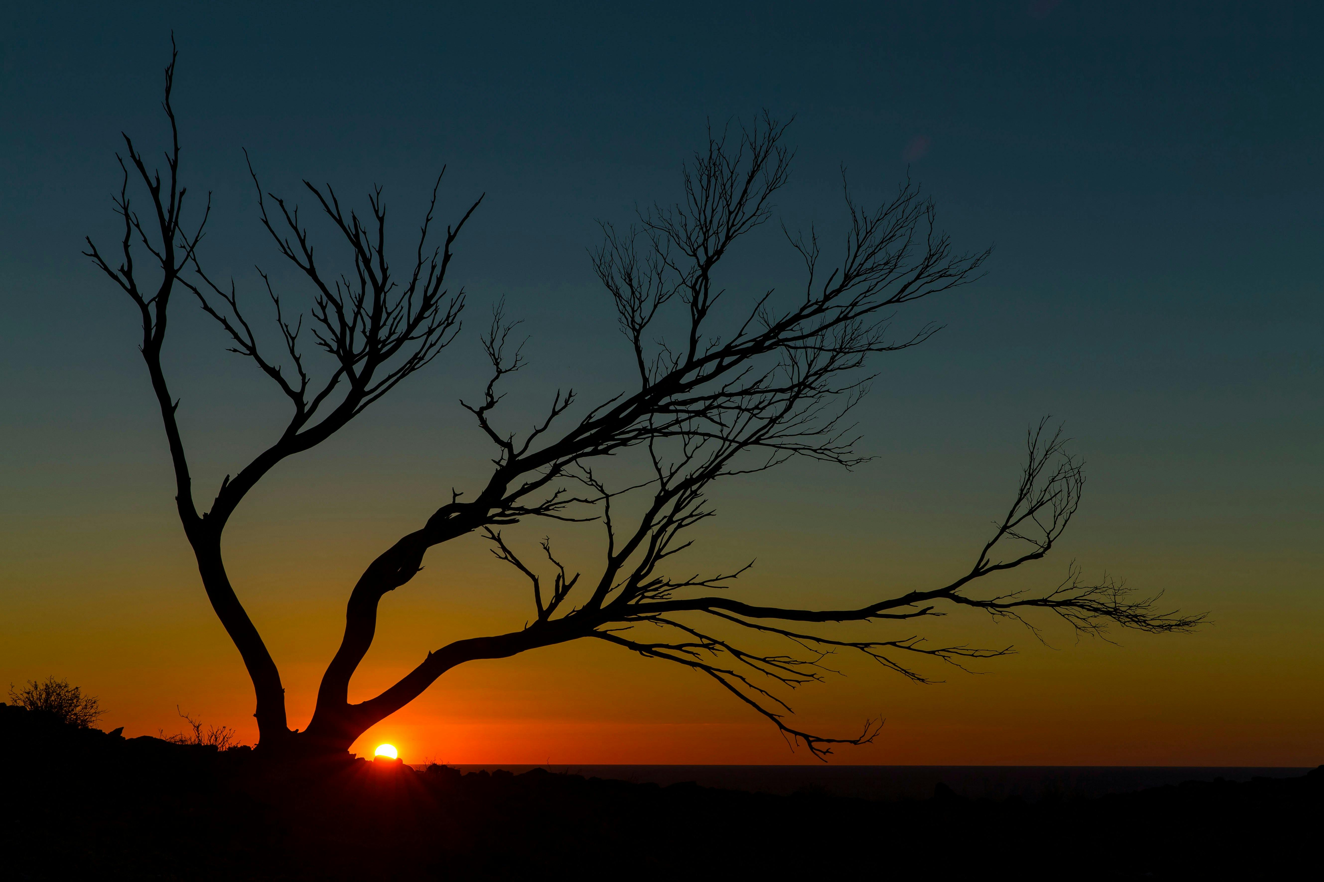 Sunset over Iconic Mundi Mundi Plains From the Southern Barriers Ranges