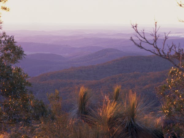 Bunya Mountains National Park