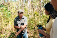 Bush medicine and food tours with world-renowned expert, Mooks