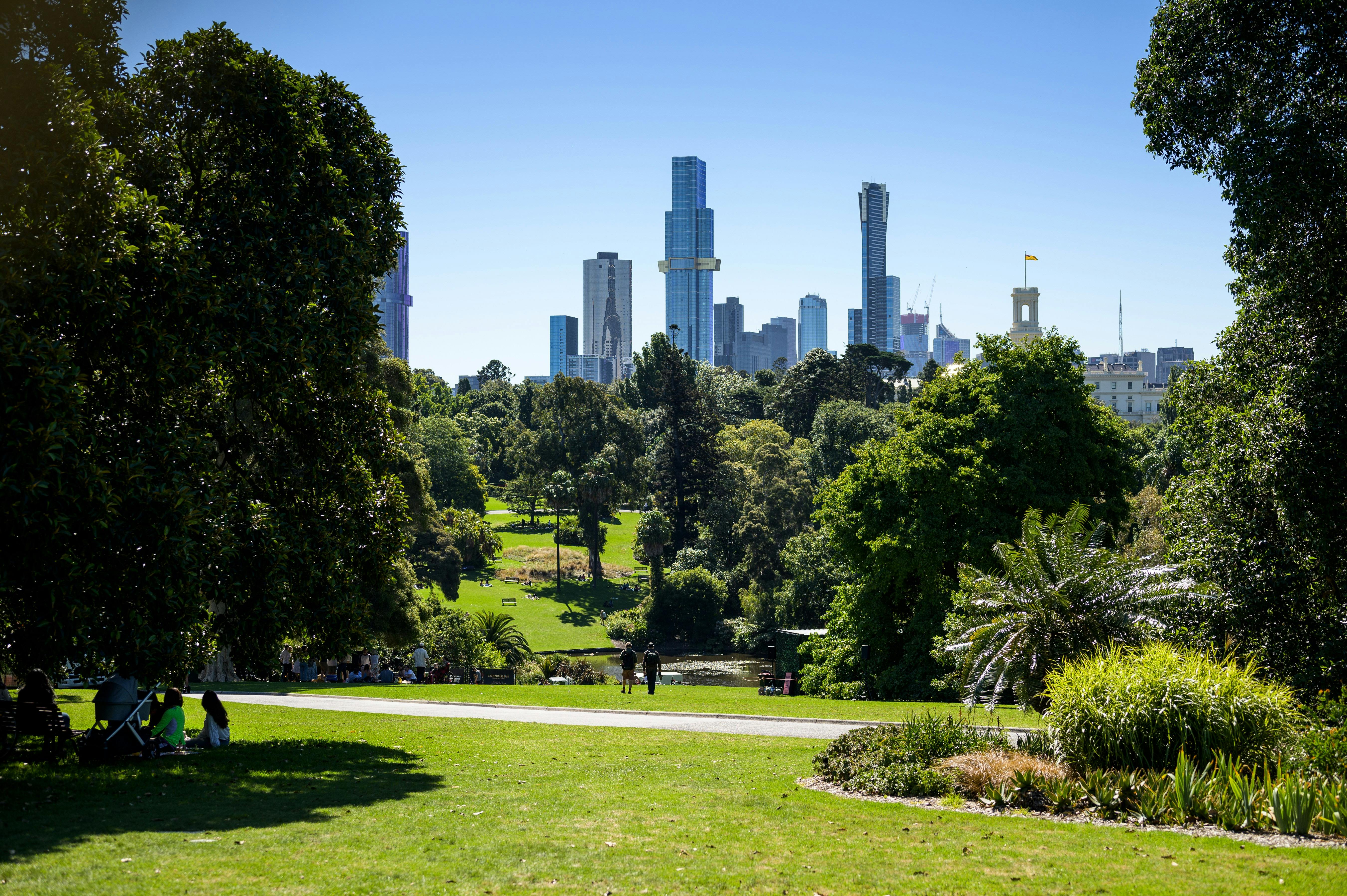 Melbourne City skyline from Botanic Gardens