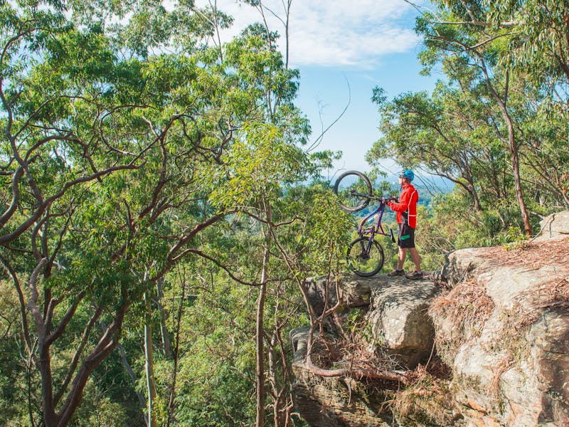 Bike Tours In Sydney Australia Bike Tours In Sydney Australia