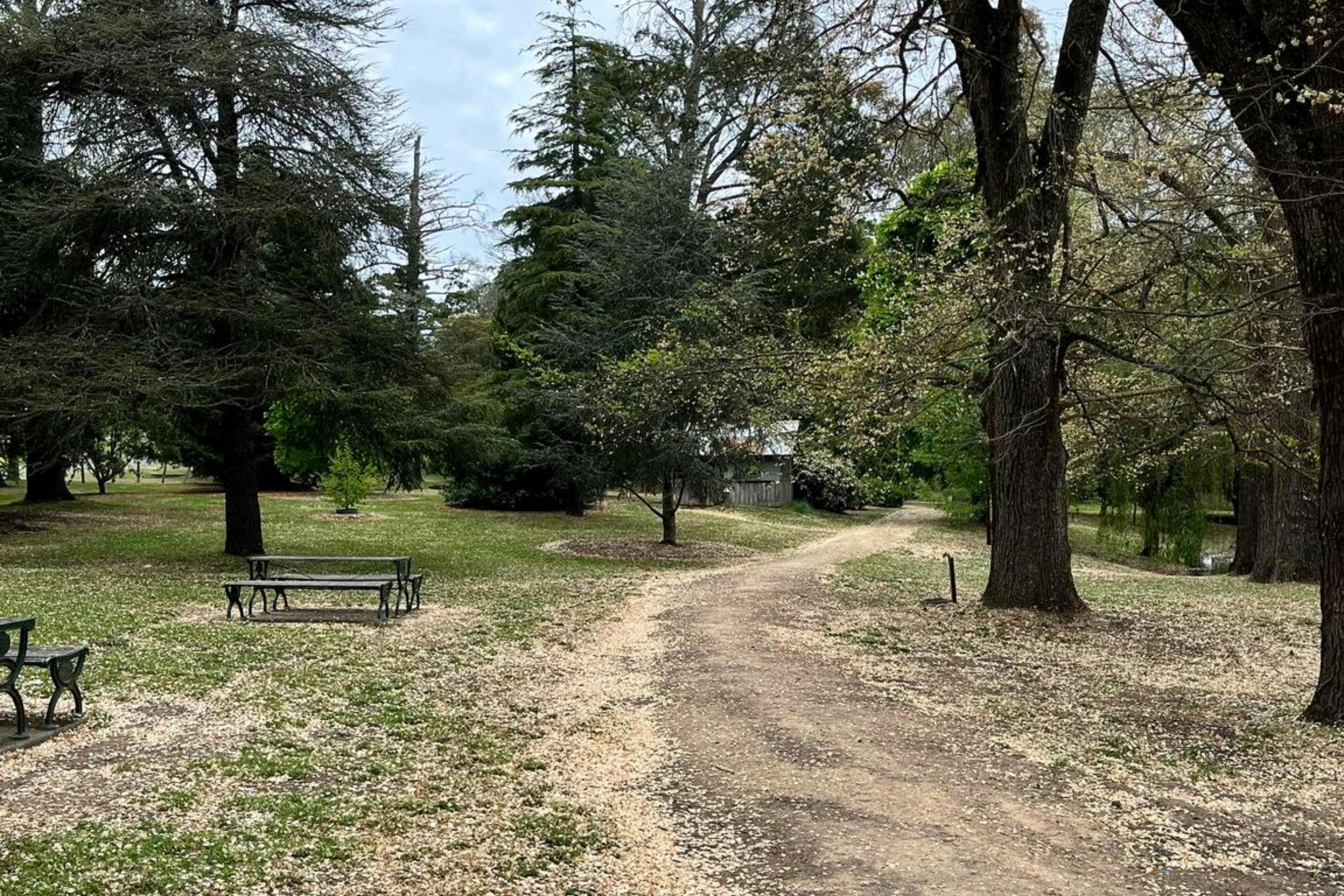Mystery Picnic Macedon Ranges