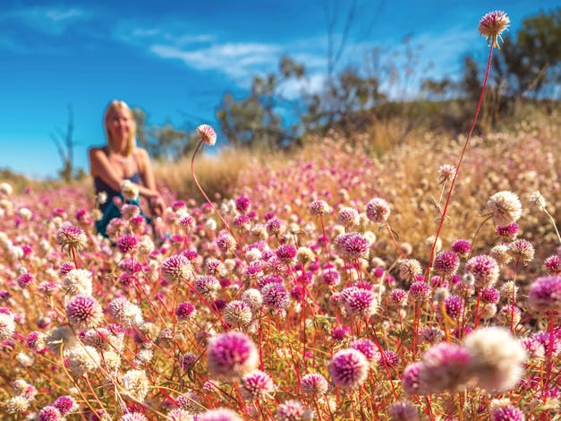 Wineries and Wildflowers