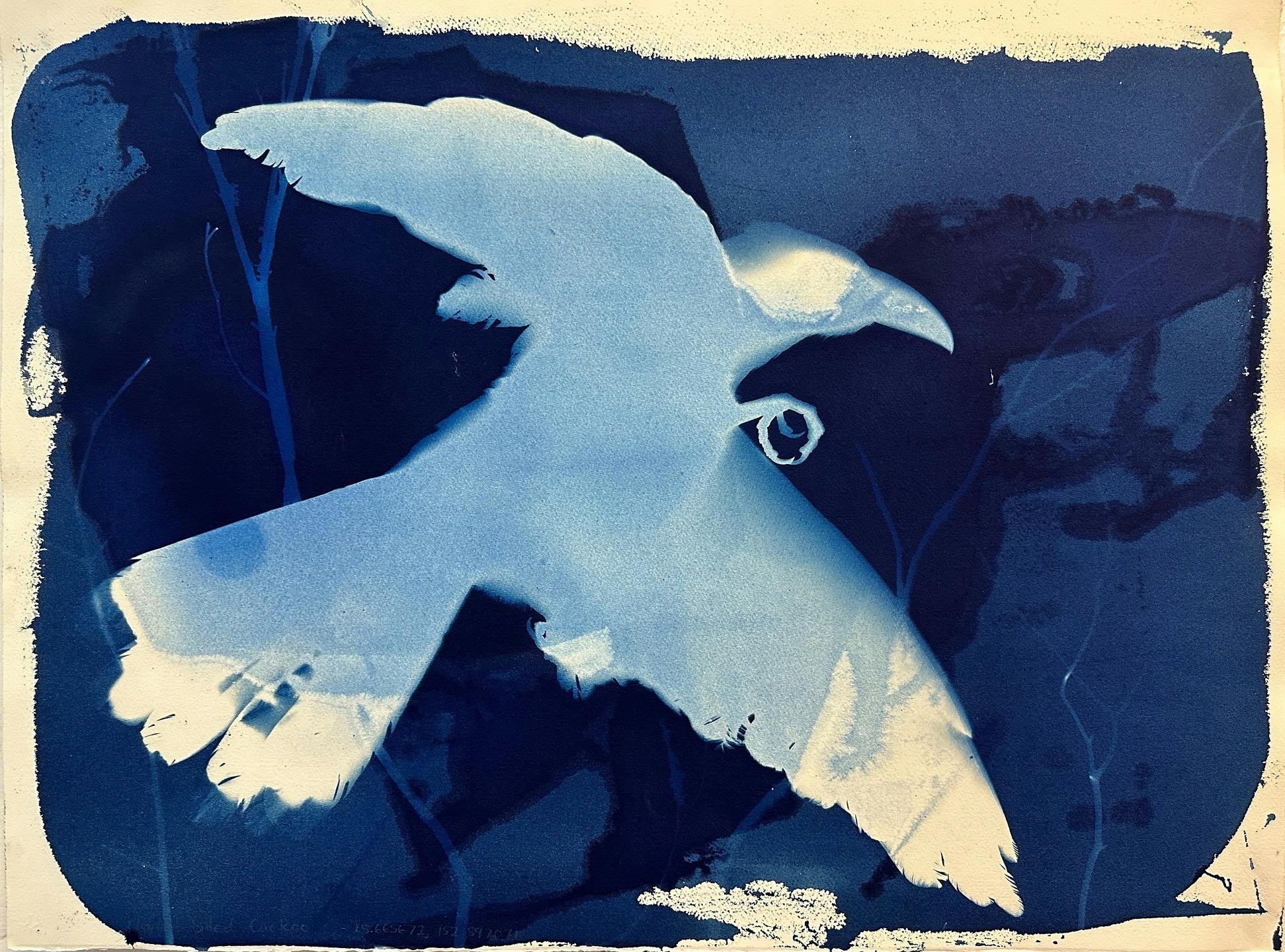 Echoes of Absence by Rebecca Tapscott