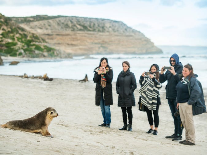 7 Night Adelaide Kangaroo Island and Murray River