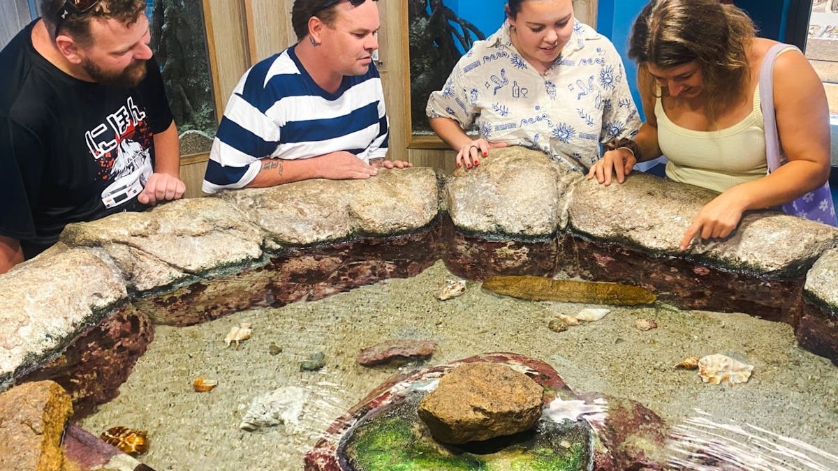 Guests at Daydream Island viewing living reef small lagoon