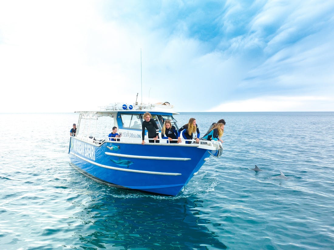 Kangaroo Island Ocean Safari Penneshaw Tour South Australia