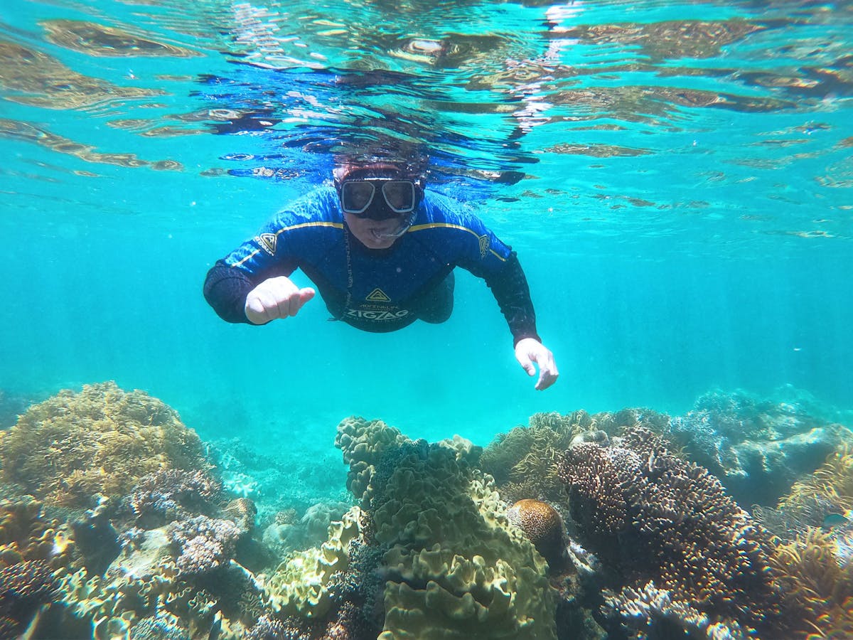 Airlie Beach Snorkelling Tour