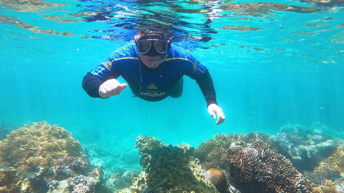 Airlie Beach Snorkelling Tour