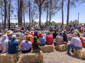 A chef presents a cooking class outdoors to crowds seated on straw bales at Giiyong Festival