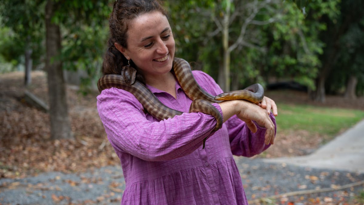 A young girl holding a snake as part of a snake encounter