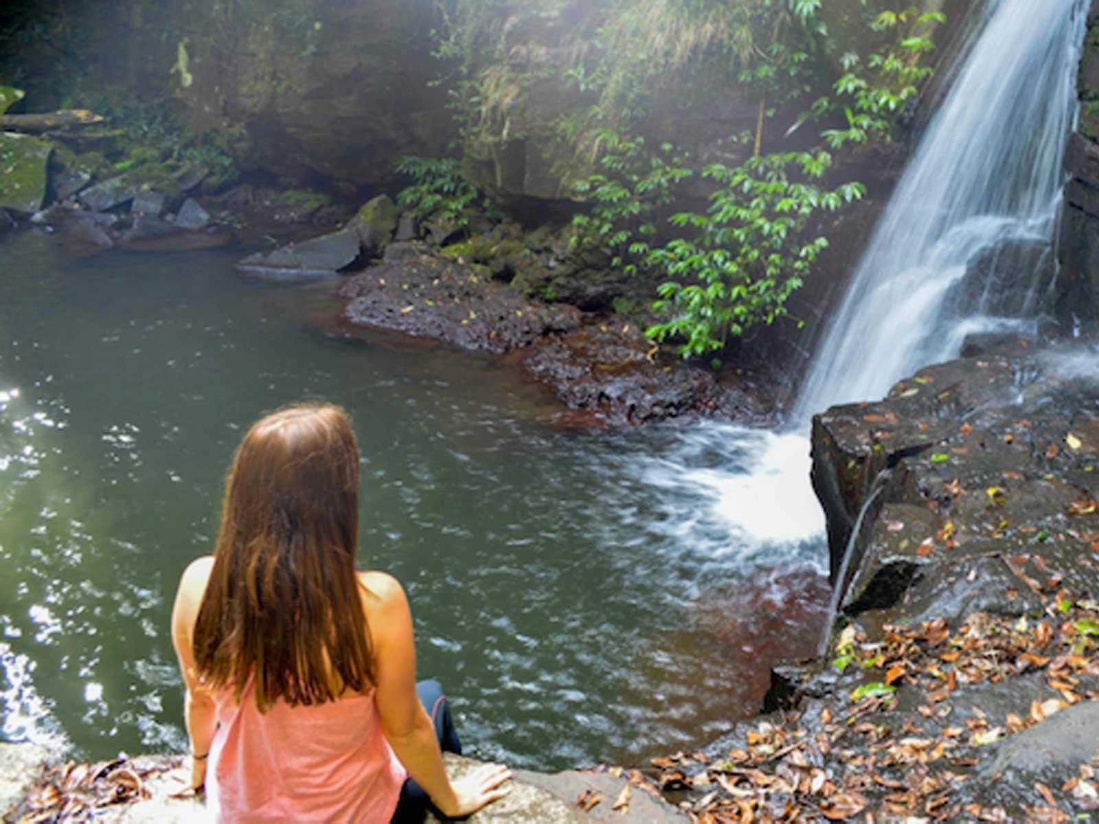 Gold Coast Hinterland Explorer Day Pass