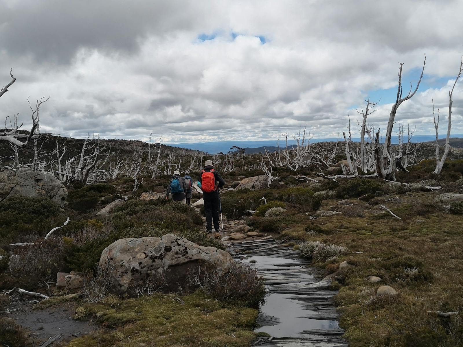 Mount Field on the Lake Pedder & South West Wilderness Pack-Free Walk by Life's An Adventure