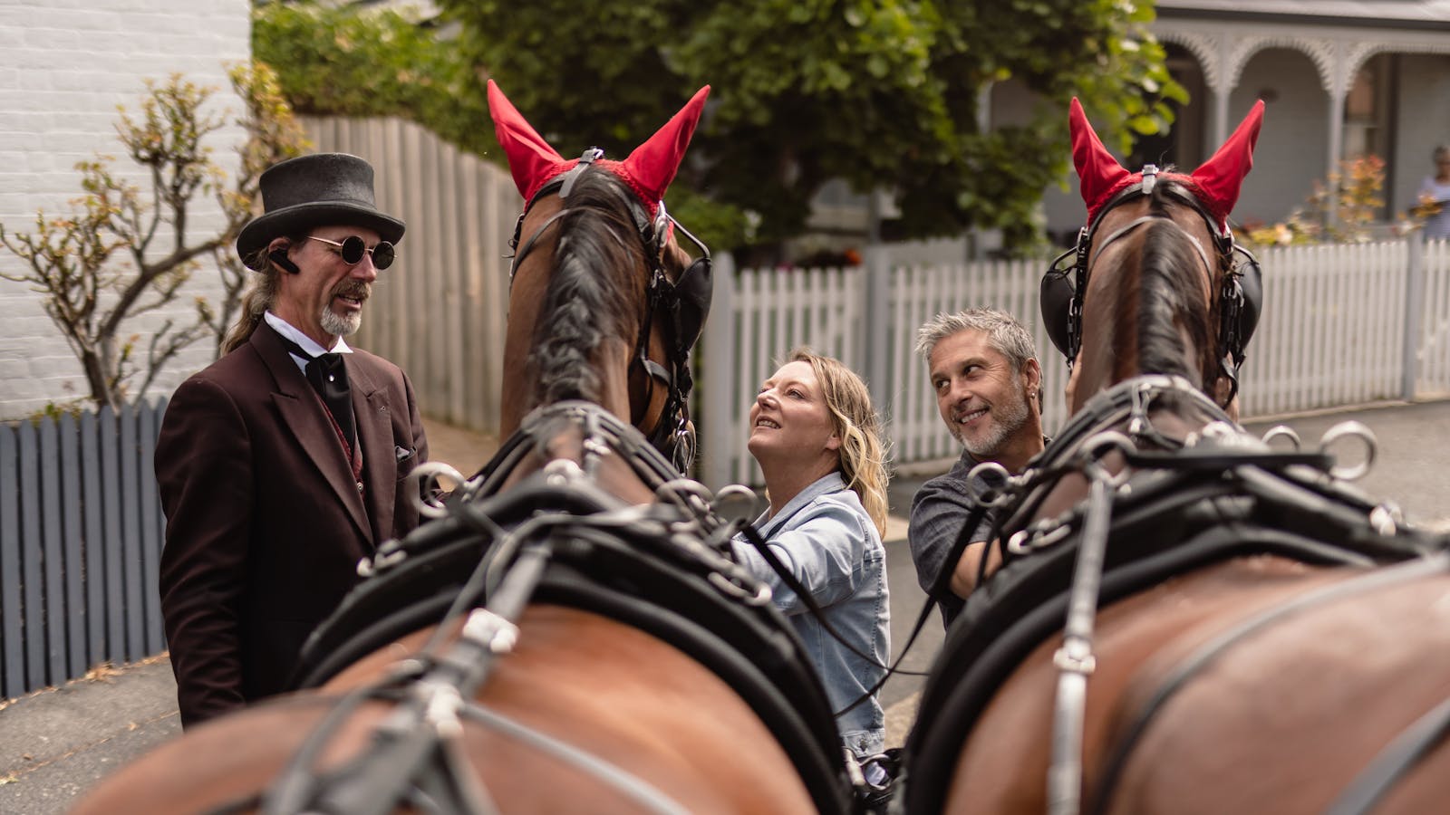 Meet our Beautiful Horses