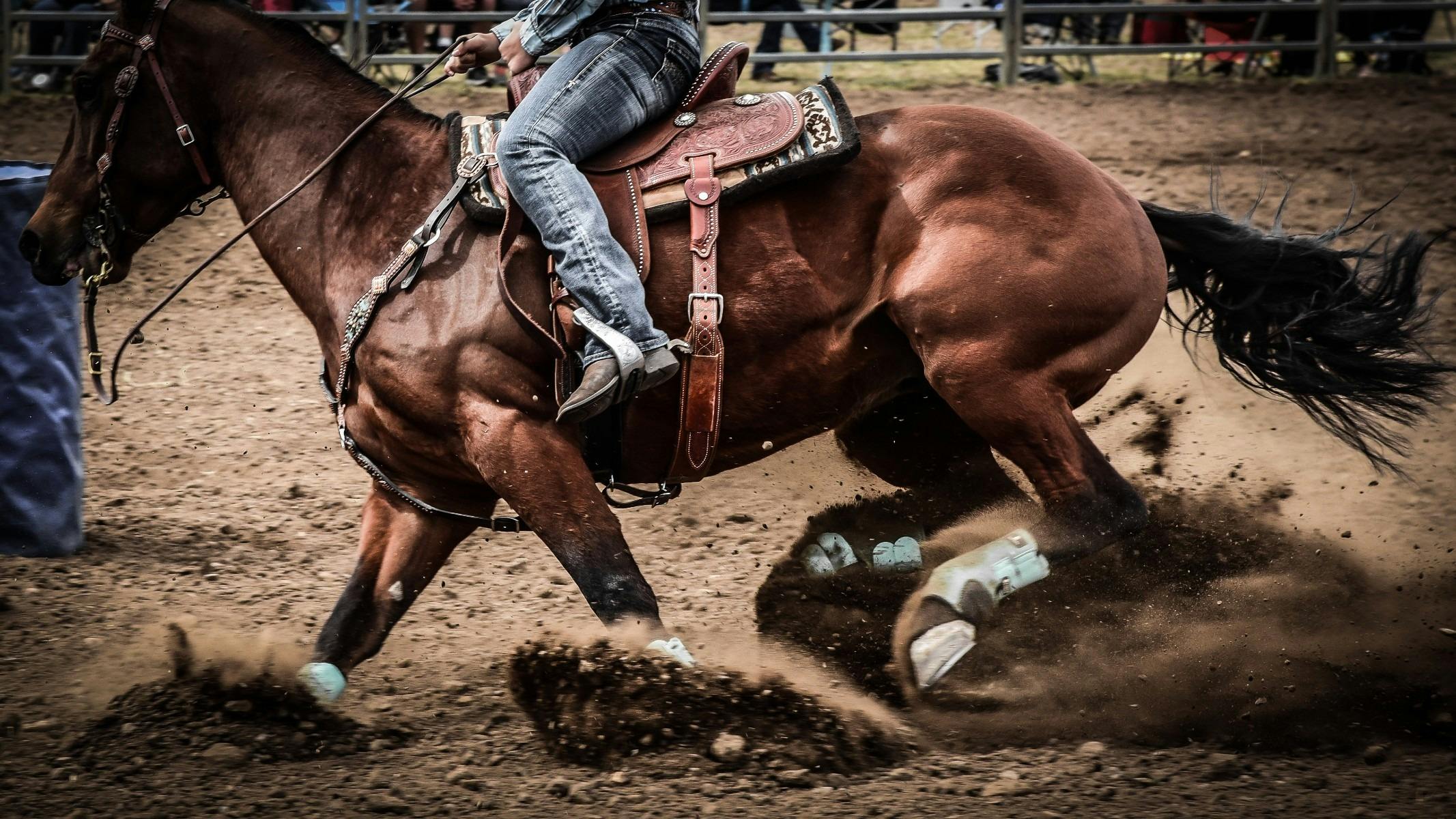 Wagga Pro Rodeo
