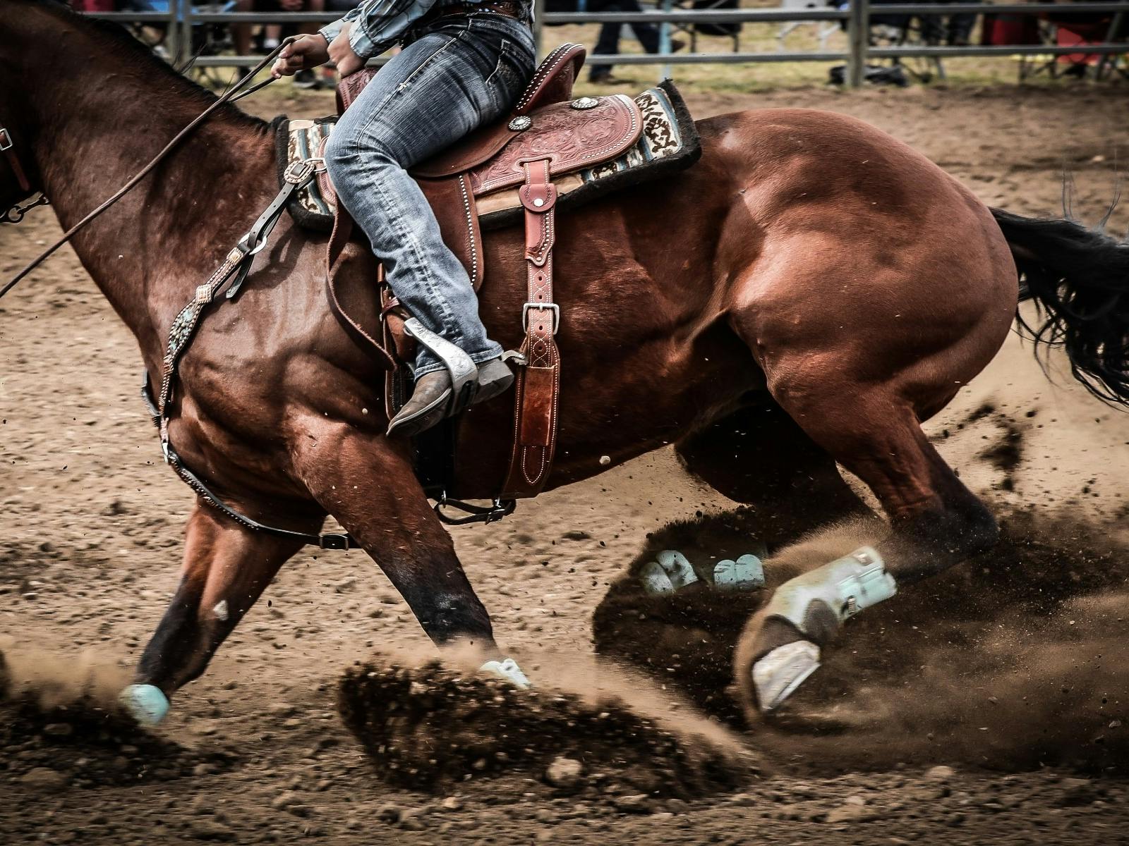 Wagga Pro Rodeo