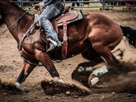 Clipex Wagga Pro Rodeo