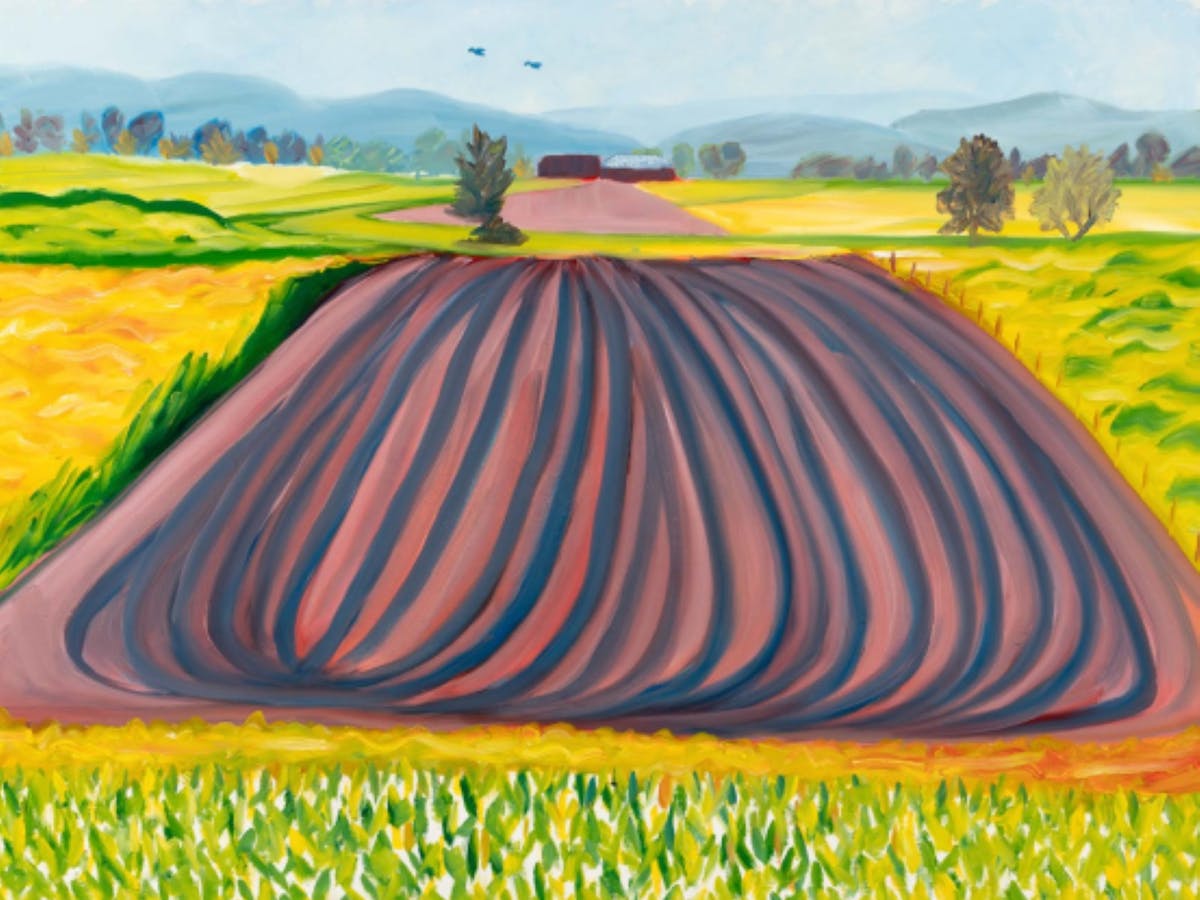 Two Birds, 2024, oil on board, 81 x 60.5cm