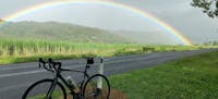 Road riding port douglas