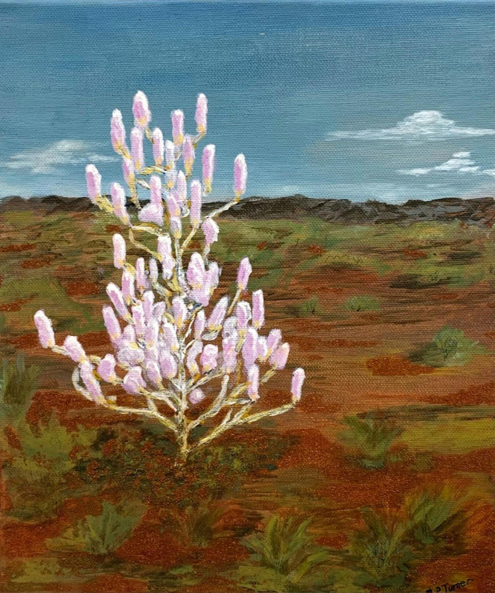 Cameron Art Group Art Exhibition at Gawura Gallery